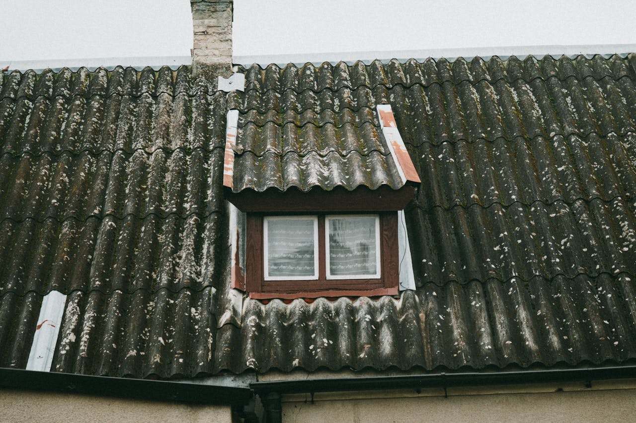 Detailed view of a moss-covered roof with a small window in rural Poland, capturing rustic charm.